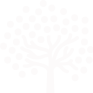 ddos网页端